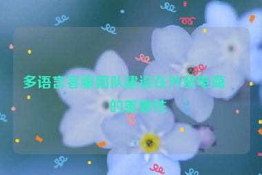 多語(yǔ)言客服團(tuán)隊(duì)建設(shè)在外貿(mào)電商中的重要性