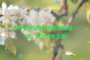 廣州外貿網站服務器選擇指南，美國、歐洲還是亞洲？