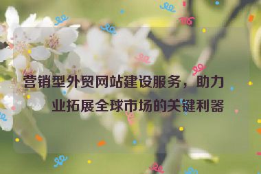 營(yíng)銷(xiāo)型外貿(mào)網(wǎng)站建設(shè)服務(wù)，助力企業(yè)拓展全球市場(chǎng)的關(guān)鍵利器