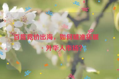 百度競價出海，如何精準拓展海外華人市場？