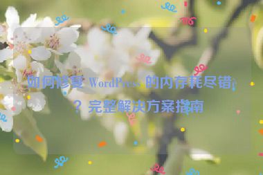 如何修復(fù) WordPress 的內(nèi)存耗盡錯(cuò)誤？完整解決方案指南