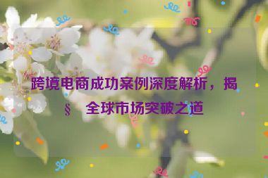 跨境電商成功案例深度解析，揭秘全球市場(chǎng)突破之道