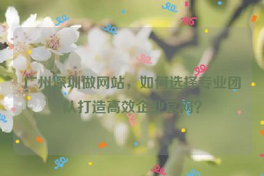 廣州深圳做網(wǎng)站，如何選擇專業(yè)團(tuán)隊(duì)打造高效企業(yè)官網(wǎng)？