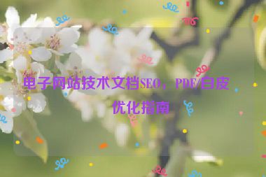電子網(wǎng)站技術(shù)文檔SEO，PDF/白皮書優(yōu)化指南