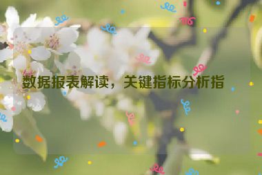 數(shù)據(jù)報(bào)表解讀，關(guān)鍵指標(biāo)分析指南