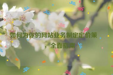 如何為你的網(wǎng)站業(yè)務(wù)制定定價策略，全面指南