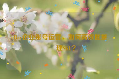 eBay企業(yè)賬號(hào)運(yùn)營(yíng)，如何高效批量管理SKU？
