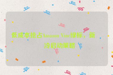 低成本搶占Amazon Vine綠標(biāo)，新品冷啟動(dòng)策略