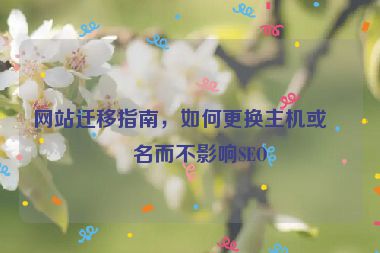 網(wǎng)站遷移指南，如何更換主機(jī)或域名而不影響SEO