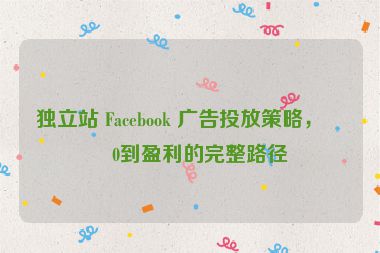 獨(dú)立站 Facebook 廣告投放策略，從0到盈利的完整路徑