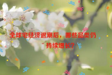 全球宅經(jīng)濟(jì)退潮后，哪些品類(lèi)仍在持續(xù)增長(zhǎng)？