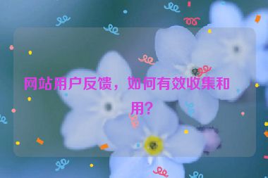網(wǎng)站用戶反饋，如何有效收集和利用？