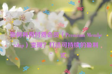 如何利用付費(fèi)會(huì)員（Premium Membership）變現(xiàn)？打造可持續(xù)的盈利模式