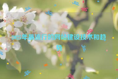 2025年最流行的網(wǎng)站建設(shè)技術(shù)和趨勢(shì)