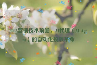 2025營(yíng)銷技術(shù)前瞻，AI代理（AI Agent）的自動(dòng)化投放革命