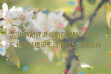 廣州網(wǎng)站建設(shè)公司有哪些？2023年廣州網(wǎng)站建設(shè)公司推薦與選擇指南