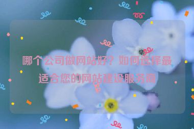 哪個(gè)公司做網(wǎng)站好？如何選擇最適合您的網(wǎng)站建設(shè)服務(wù)商