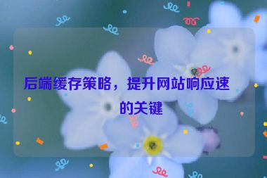 后端緩存策略，提升網(wǎng)站響應(yīng)速度的關(guān)鍵