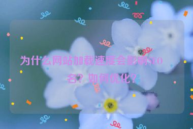 為什么網(wǎng)站加載速度會(huì)影響SEO排名？如何優(yōu)化？