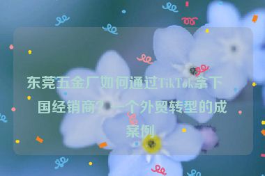 東莞五金廠如何通過TikTok拿下美國經(jīng)銷商？一個外貿(mào)轉型的成功案例