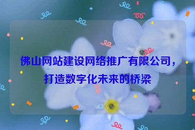 佛山網(wǎng)站建設(shè)網(wǎng)絡(luò)推廣有限公司，打造數(shù)字化未來的橋梁