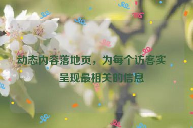動(dòng)態(tài)內(nèi)容落地頁(yè)，為每個(gè)訪客實(shí)時(shí)呈現(xiàn)最相關(guān)的信息