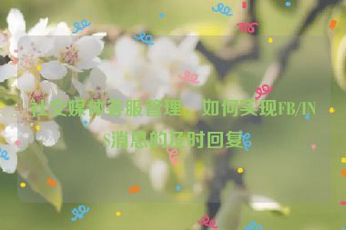 社交媒體客服管理，如何實現(xiàn)FB/INS消息的及時回復