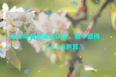 國(guó)際站金品誠(chéng)企認(rèn)證，值不值得投入？ROI測(cè)算