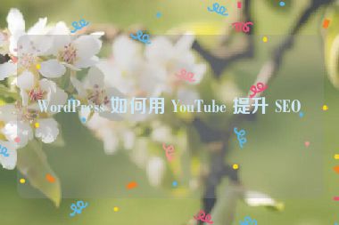 WordPress 如何用 YouTube 提升 SEO？