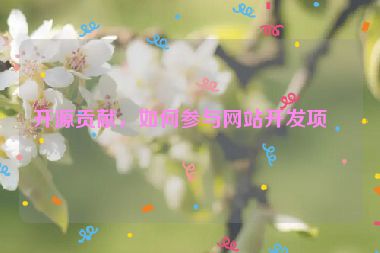 開源貢獻(xiàn)，如何參與網(wǎng)站開發(fā)項(xiàng)目