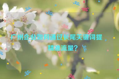 廣州企業(yè)如何通過長尾關(guān)鍵詞提升精準(zhǔn)流量？