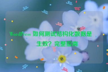 WordPress 如何測(cè)試結(jié)構(gòu)化數(shù)據(jù)是否生效？完整指南