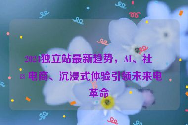 2024獨立站最新趨勢，AI、社交電商、沉浸式體驗引領(lǐng)未來電商革命