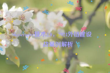 Skyscraper技術2.0，2024外鏈建設實戰(zhàn)案例解析