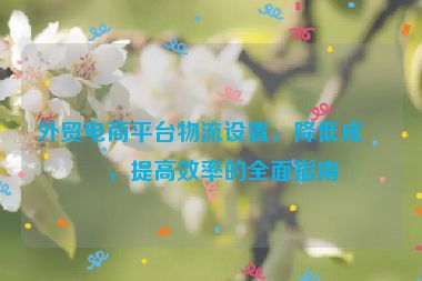 外貿(mào)電商平臺物流設置，降低成本，提高效率的全面指南