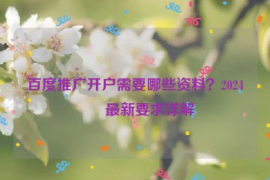 百度推廣開戶需要哪些資料？2024年最新要求詳解