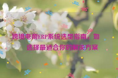 跨境電商ERP系統(tǒng)選型指南，如何選擇最適合你的解決方案
