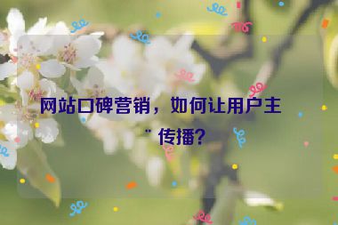 網(wǎng)站口碑營銷，如何讓用戶主動傳播？