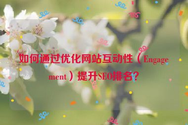 如何通過優(yōu)化網(wǎng)站互動(dòng)性（Engagement）提升SEO排名？