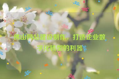 佛山網(wǎng)站建設(shè)制作，打造企業(yè)數(shù)字化轉(zhuǎn)型的利器