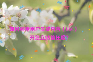 如何利用用戶生成內(nèi)容（UGC）提升獨立站信任度？
