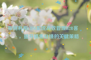 如何利用CRM系統(tǒng)高效管理B2B客戶，提升銷售業(yè)績的關(guān)鍵策略
