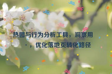 熱圖與行為分析工具，洞察用戶，優(yōu)化落地頁轉(zhuǎn)化路徑