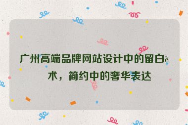 廣州高端品牌網(wǎng)站設(shè)計中的留白藝術(shù)，簡約中的奢華表達(dá)