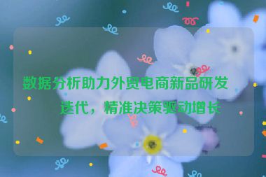 數(shù)據(jù)分析助力外貿(mào)電商新品研發(fā)與迭代，精準(zhǔn)決策驅(qū)動(dòng)增長(zhǎng)