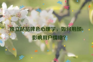 獨立站品牌色心理學，如何用顏色影響用戶情緒？