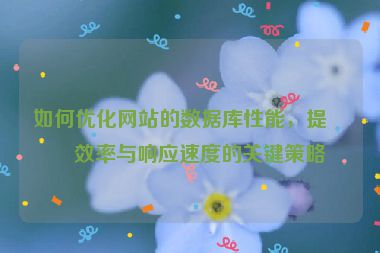 如何優(yōu)化網(wǎng)站的數(shù)據(jù)庫性能，提升效率與響應(yīng)速度的關(guān)鍵策略