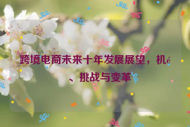 跨境電商未來十年發(fā)展展望，機遇、挑戰(zhàn)與變革