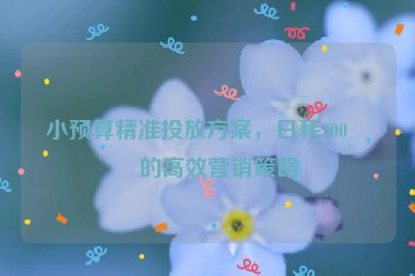 小預(yù)算精準(zhǔn)投放方案，日耗300元的高效營銷策略