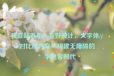 獨立站老年人友好設(shè)計，大字體/高對比度方案—構(gòu)建無障礙的數(shù)字包容時代